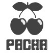 Pacha perfumes